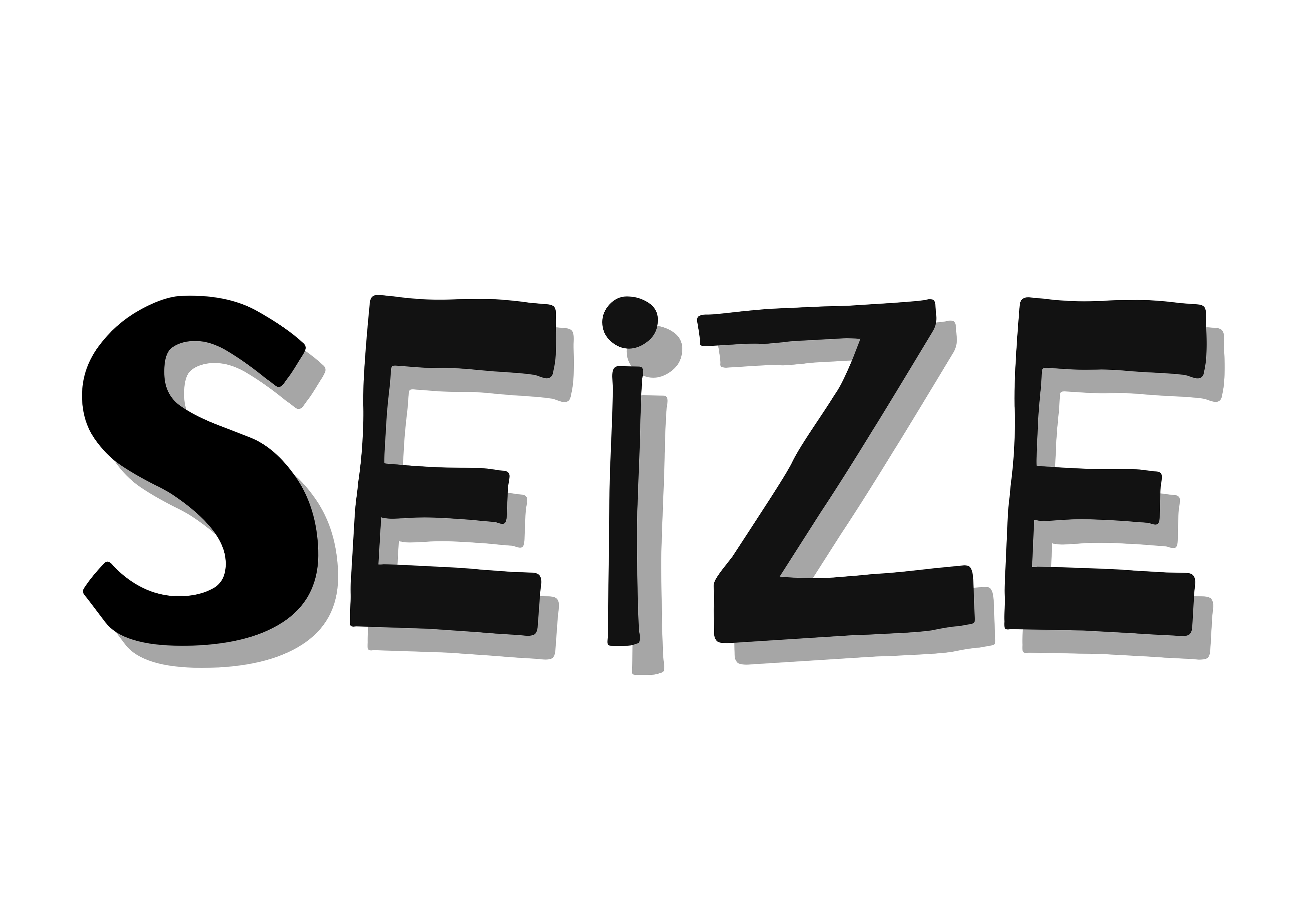 Seize